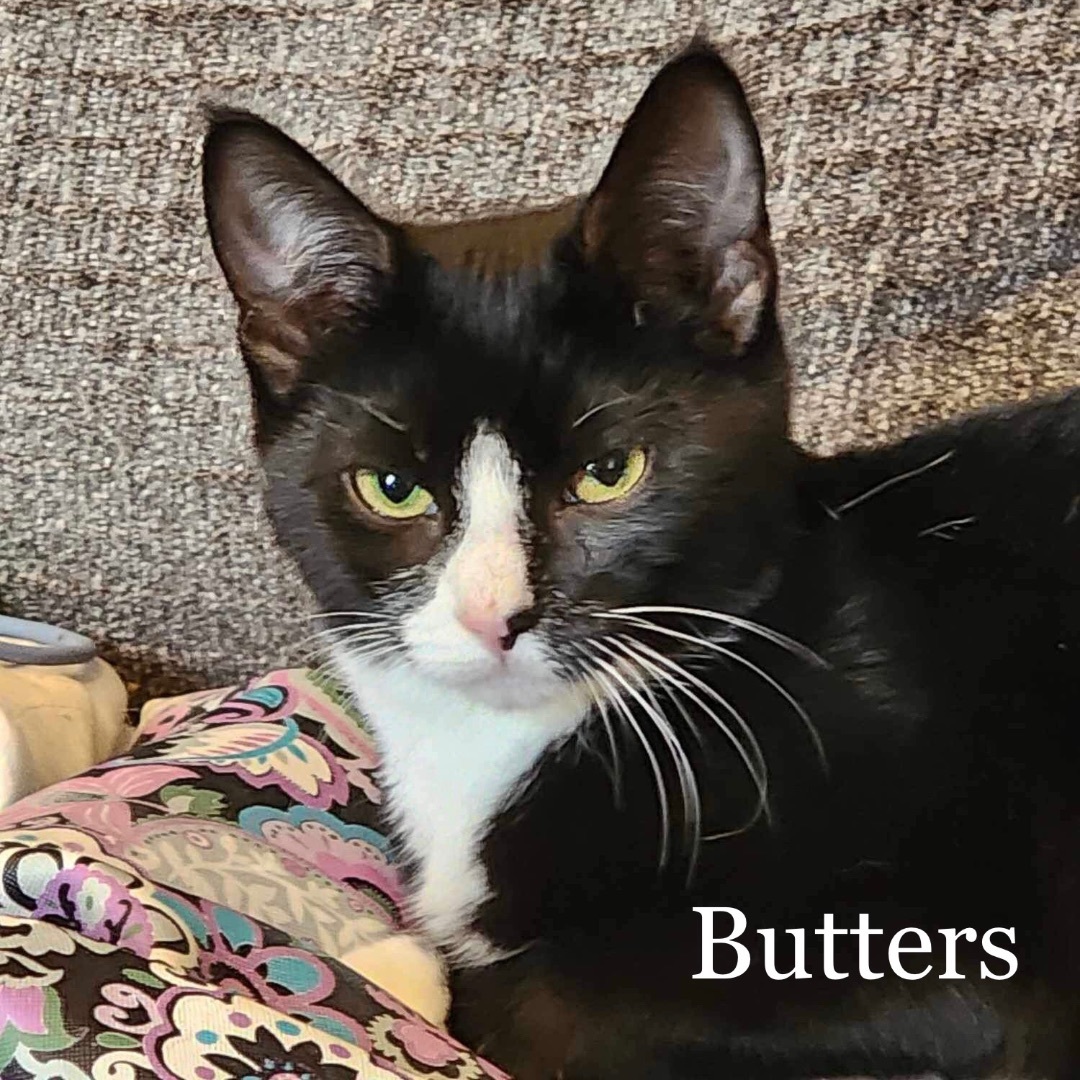 Blinky & Butters 2