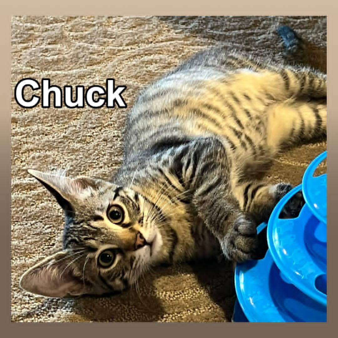 Chuck
