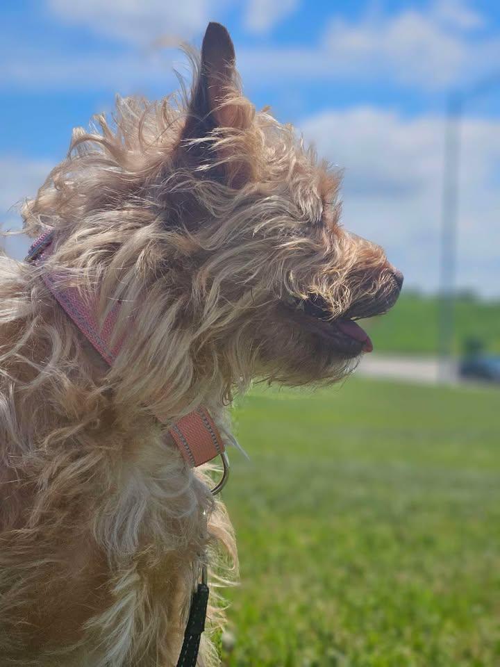 Bella photo 2