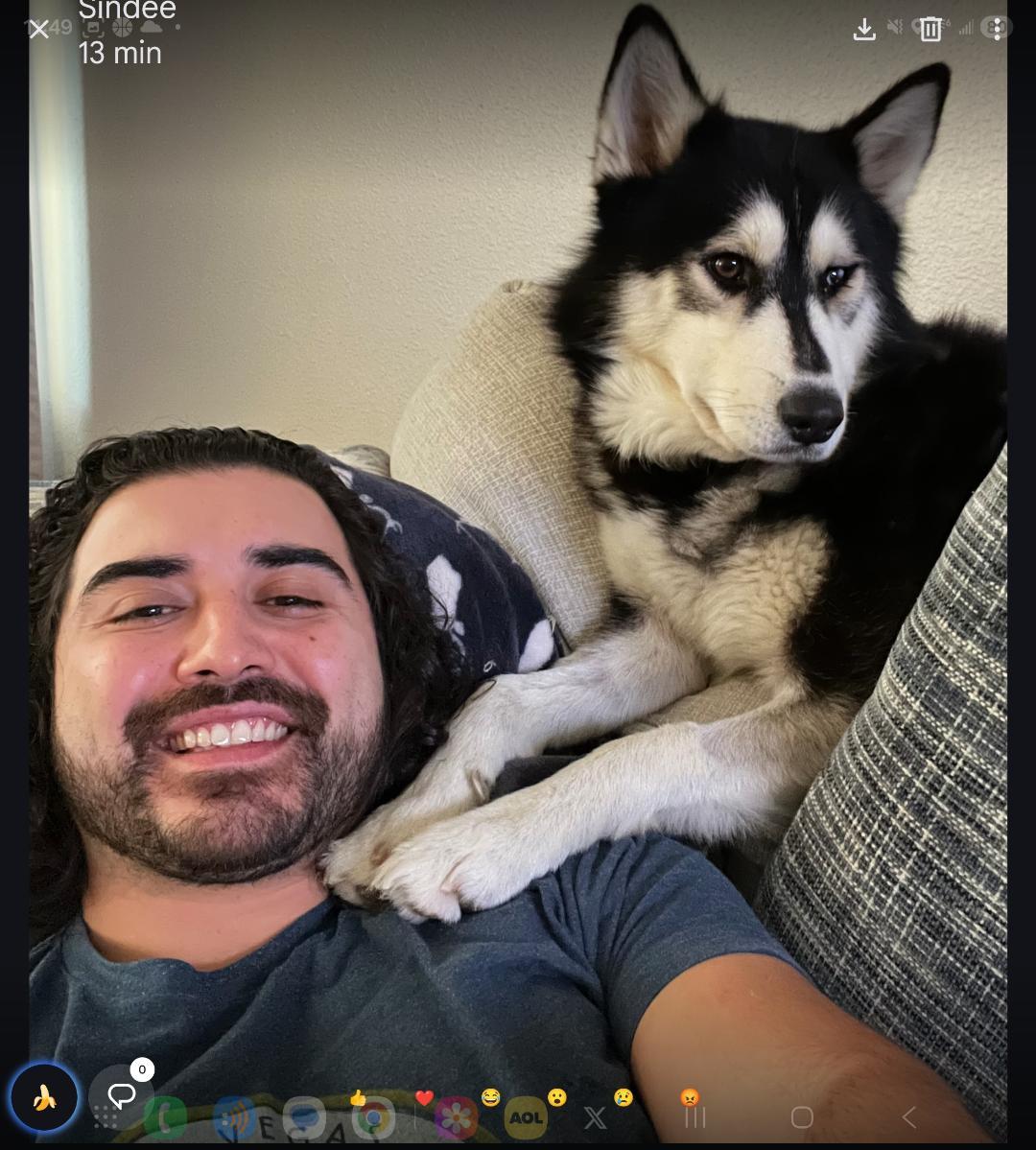 Enlarge Beau, a ADOPTABLE mixed breed in Cortlandt Manor, NY image 5/6