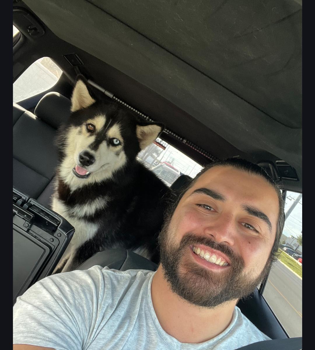 Enlarge Beau, a ADOPTABLE mixed breed in Cortlandt Manor, NY image 1/6