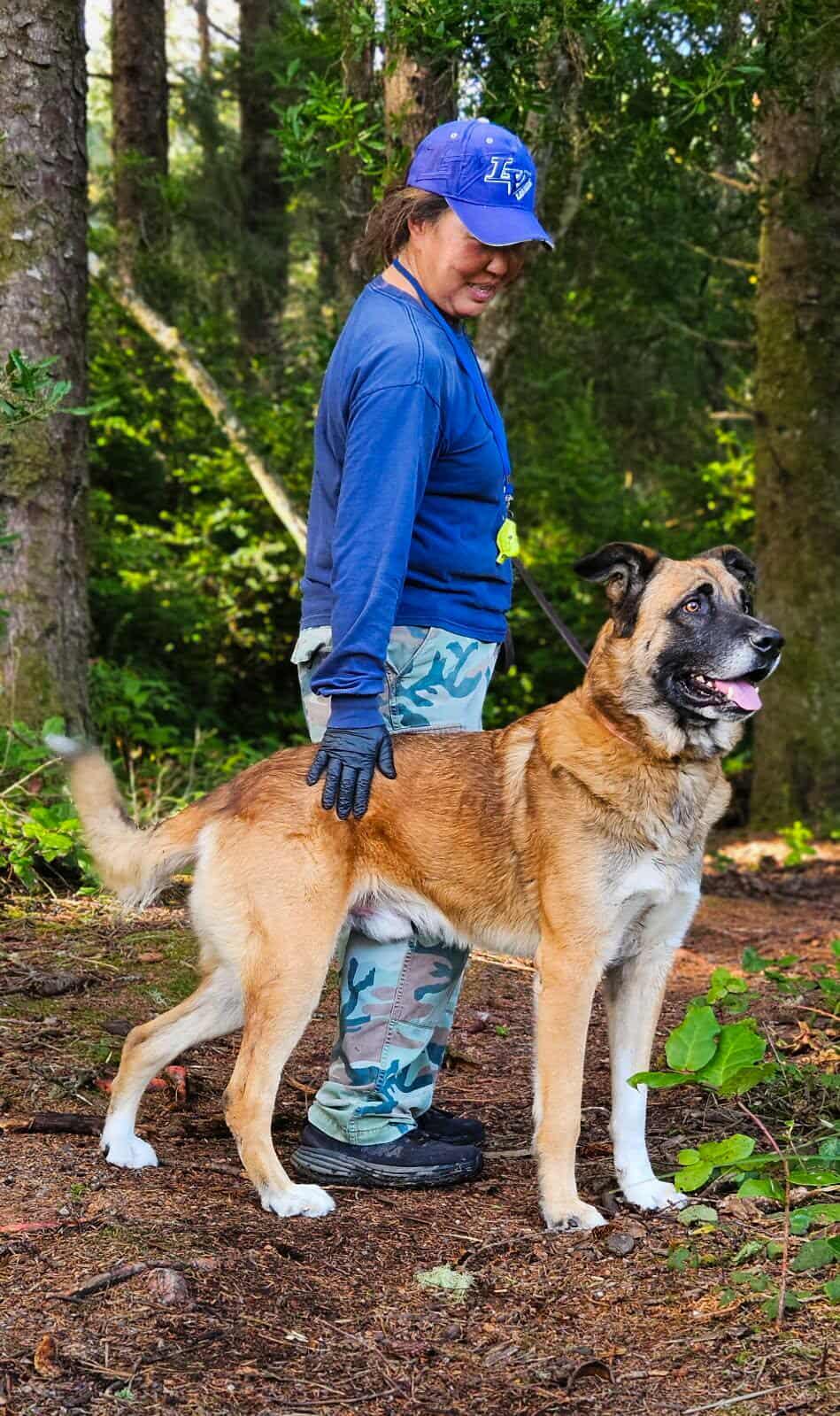 Jimbo, a Adoptable mixed breed in Crescent city, CA image 1/3