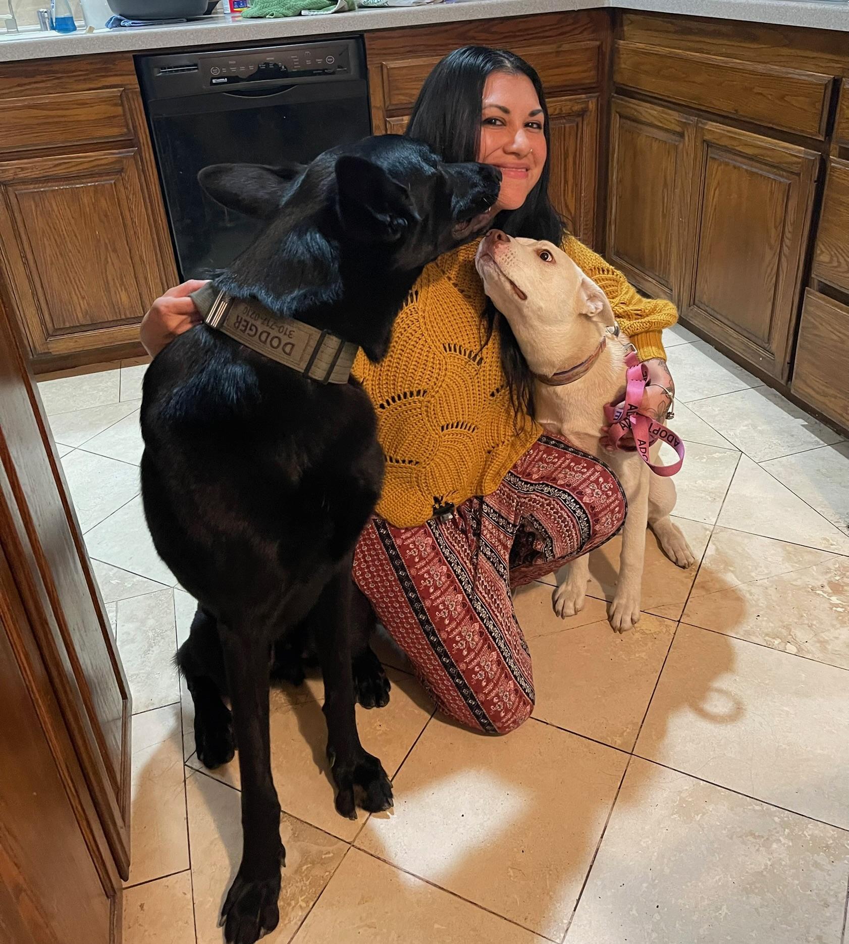 Enlarge Tala, a Adoptable Shepherd in Los Angeles , CA image 1/6