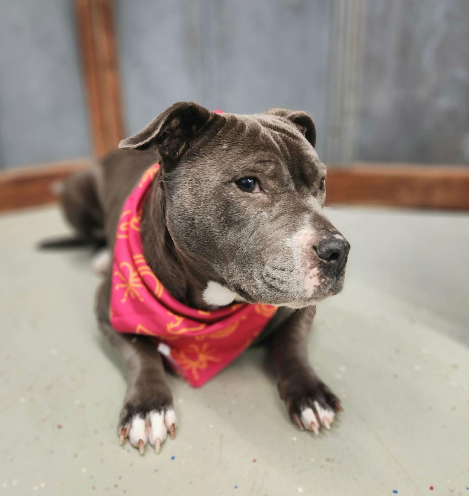 Nina aka Lil Hippo — thumbnail 2