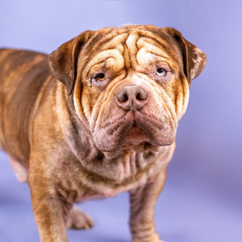 Plumber John thumbnail 2