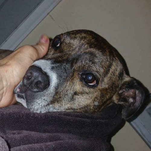 Charlotte -- Courtesy Post