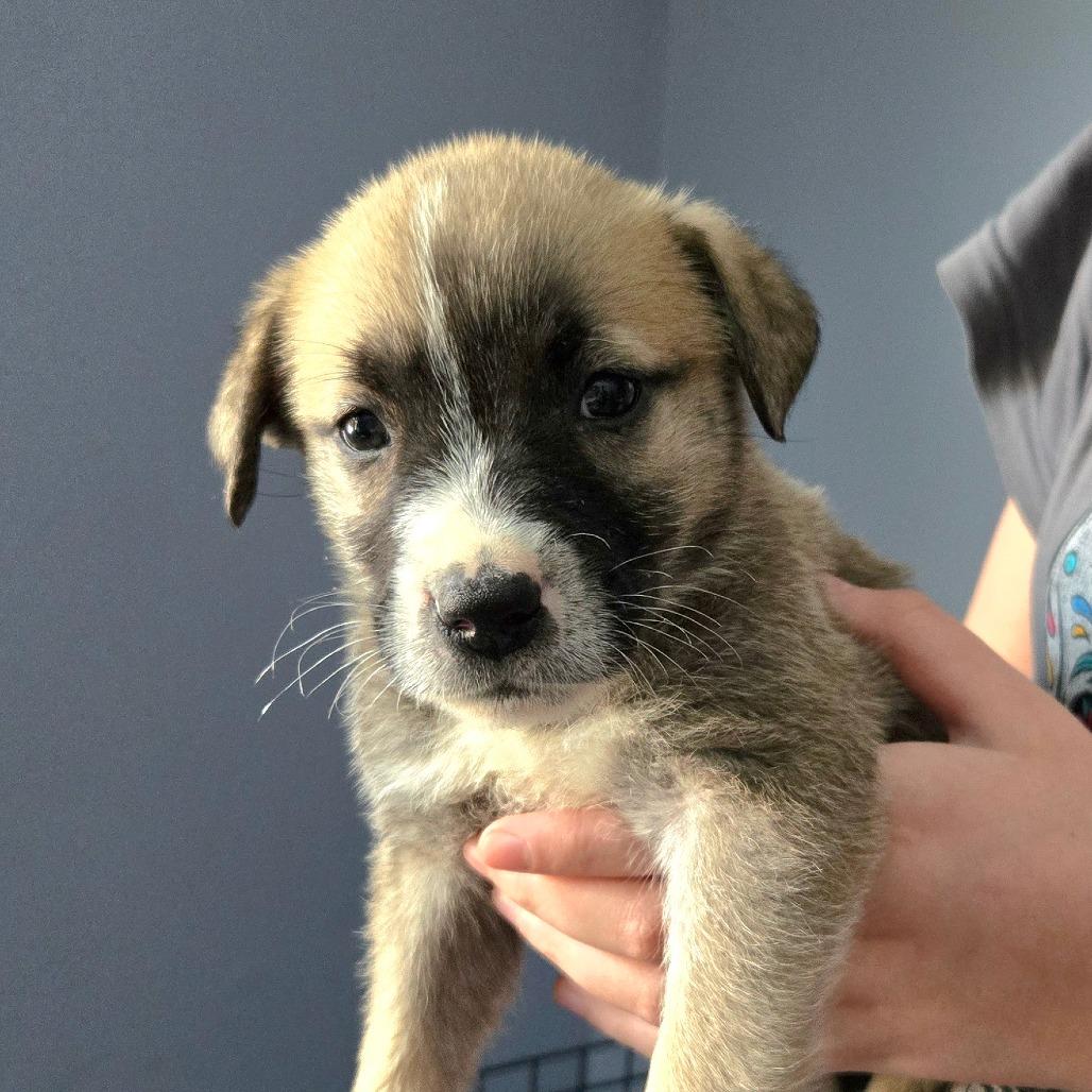 Ct Harley Avail Feb thumbnail 3