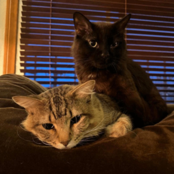 Cairo & Egypt