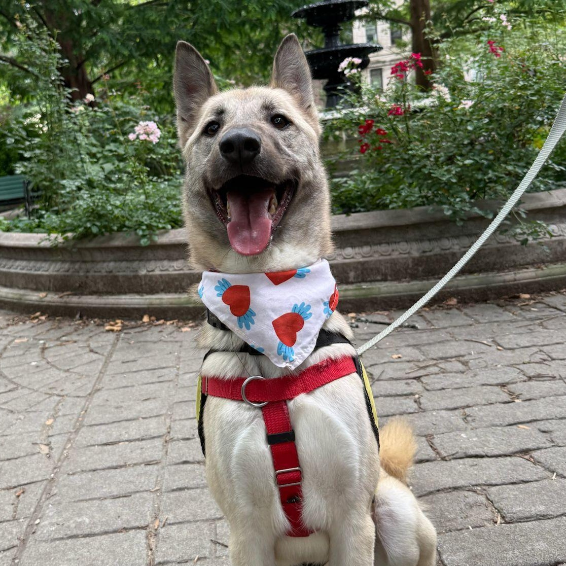 Angel the Happiest Boy from Jordan