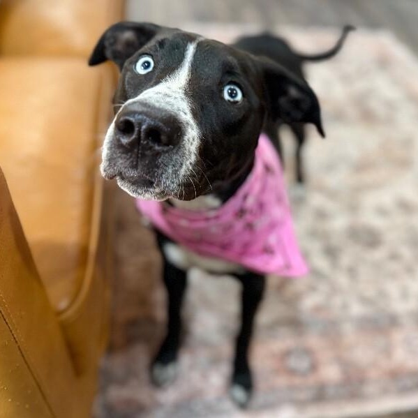 Sissie Jane Garza — thumbnail 3