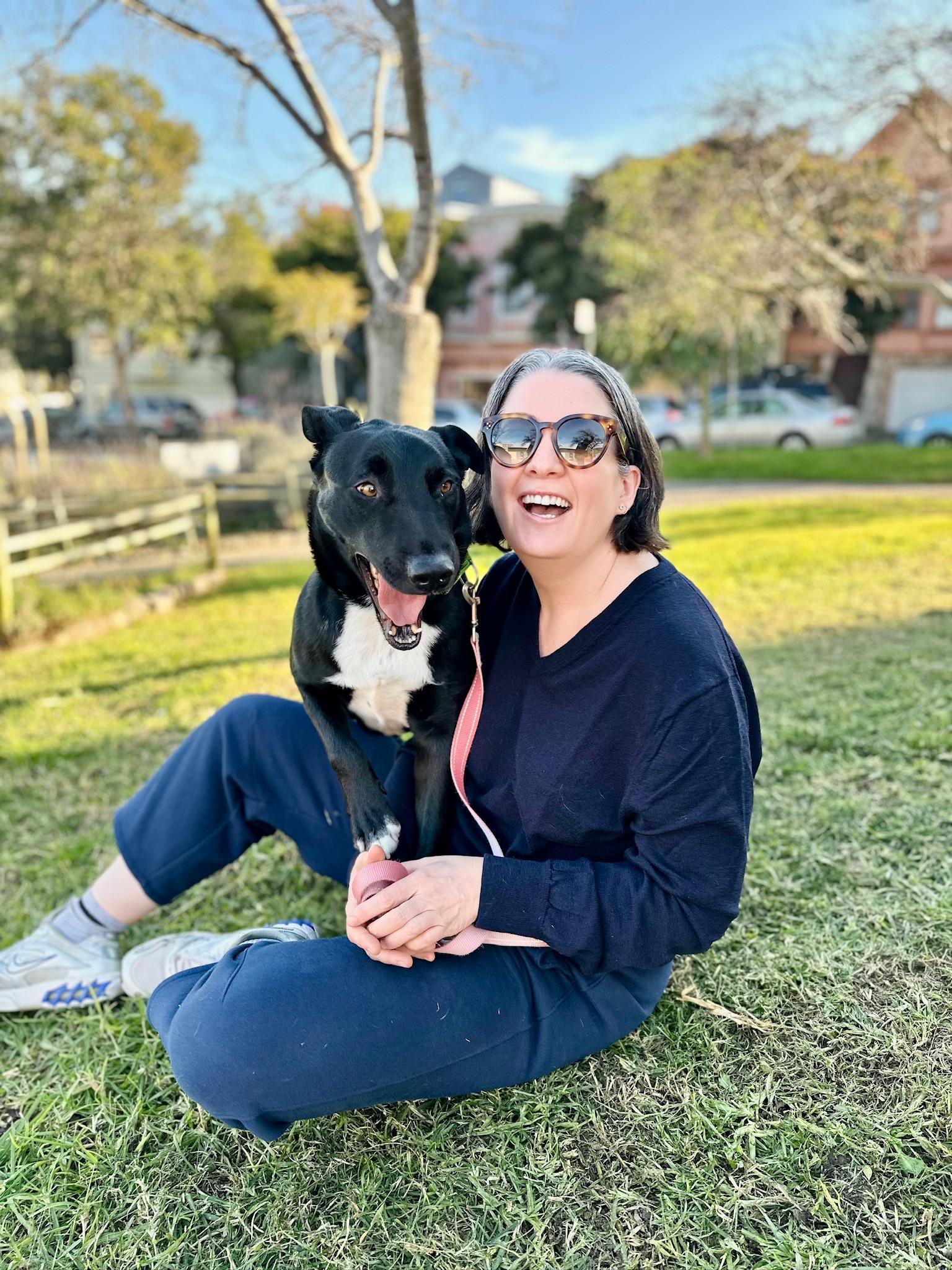 Enlarge Dylan, a Adoptable mixed breed in San Francisco, CA image 3/6
