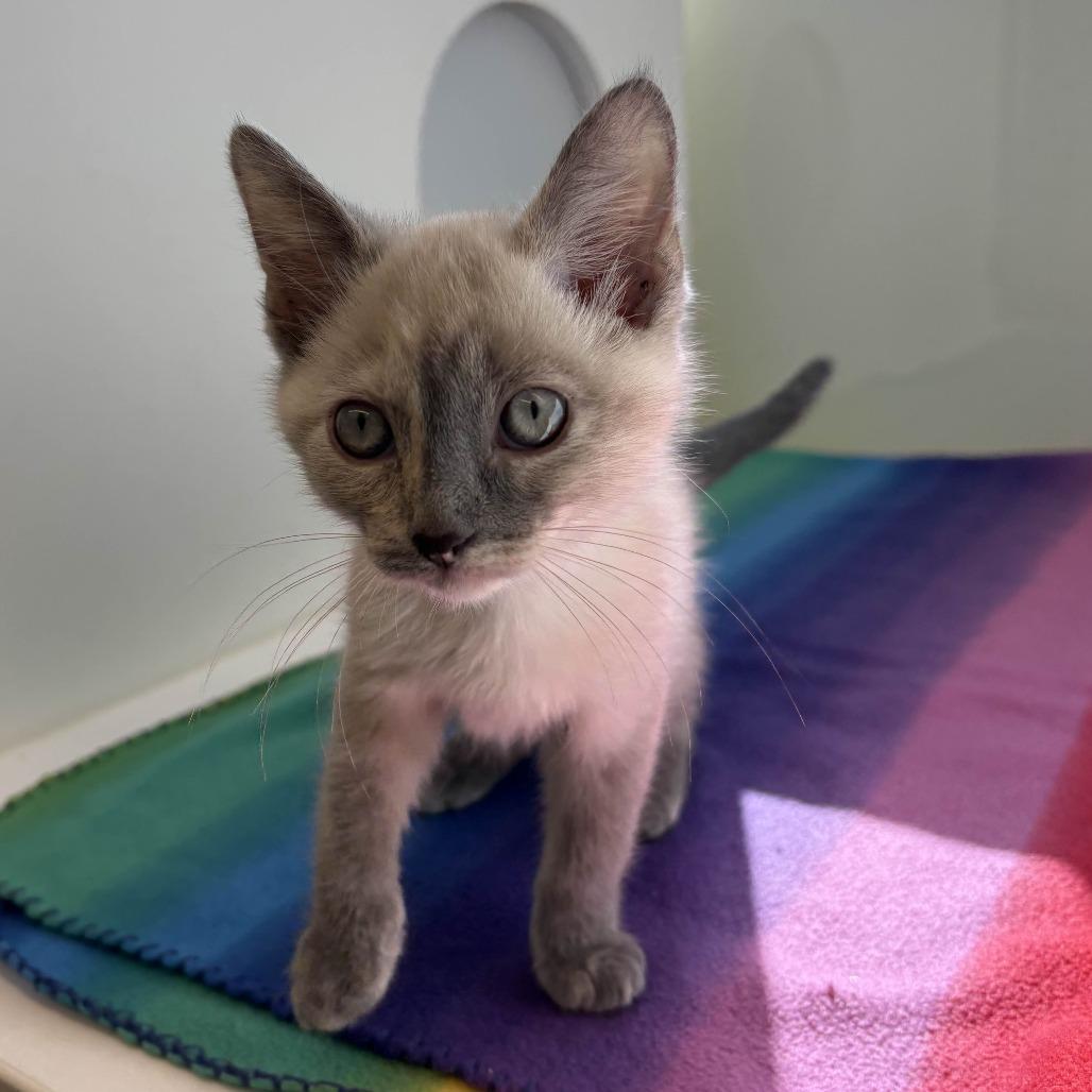 Lava Girl thumbnail 4