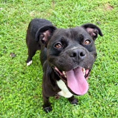 Woodrow (20260119-05) — thumbnail 2