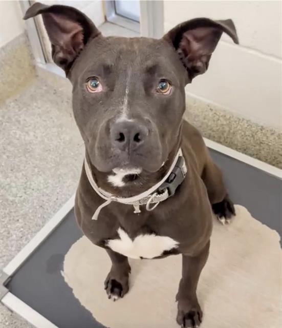 HUGGS — thumbnail 2