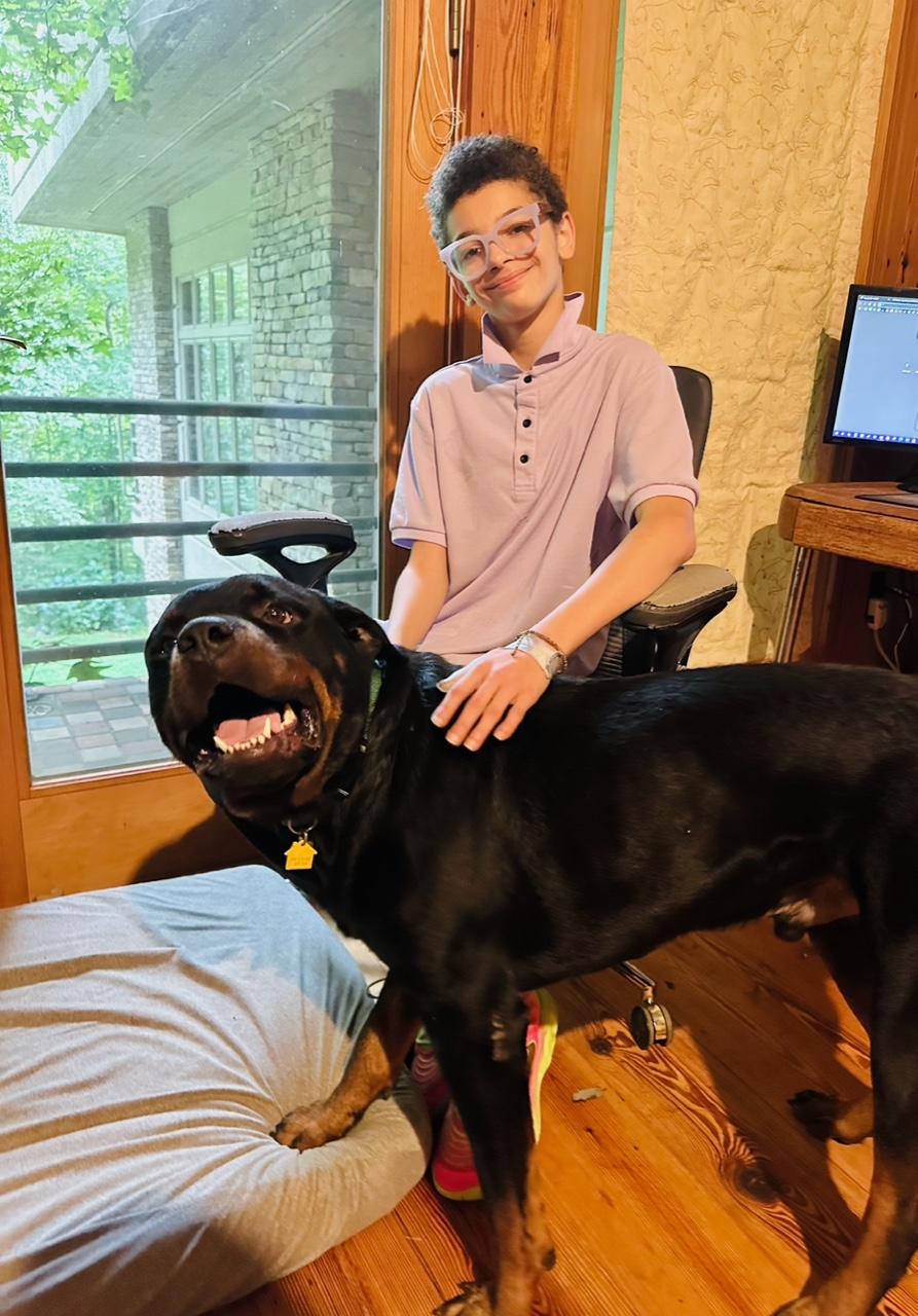 Captain Picard, a Adopted Rottweiler in Clarkesville, GA image 3/4