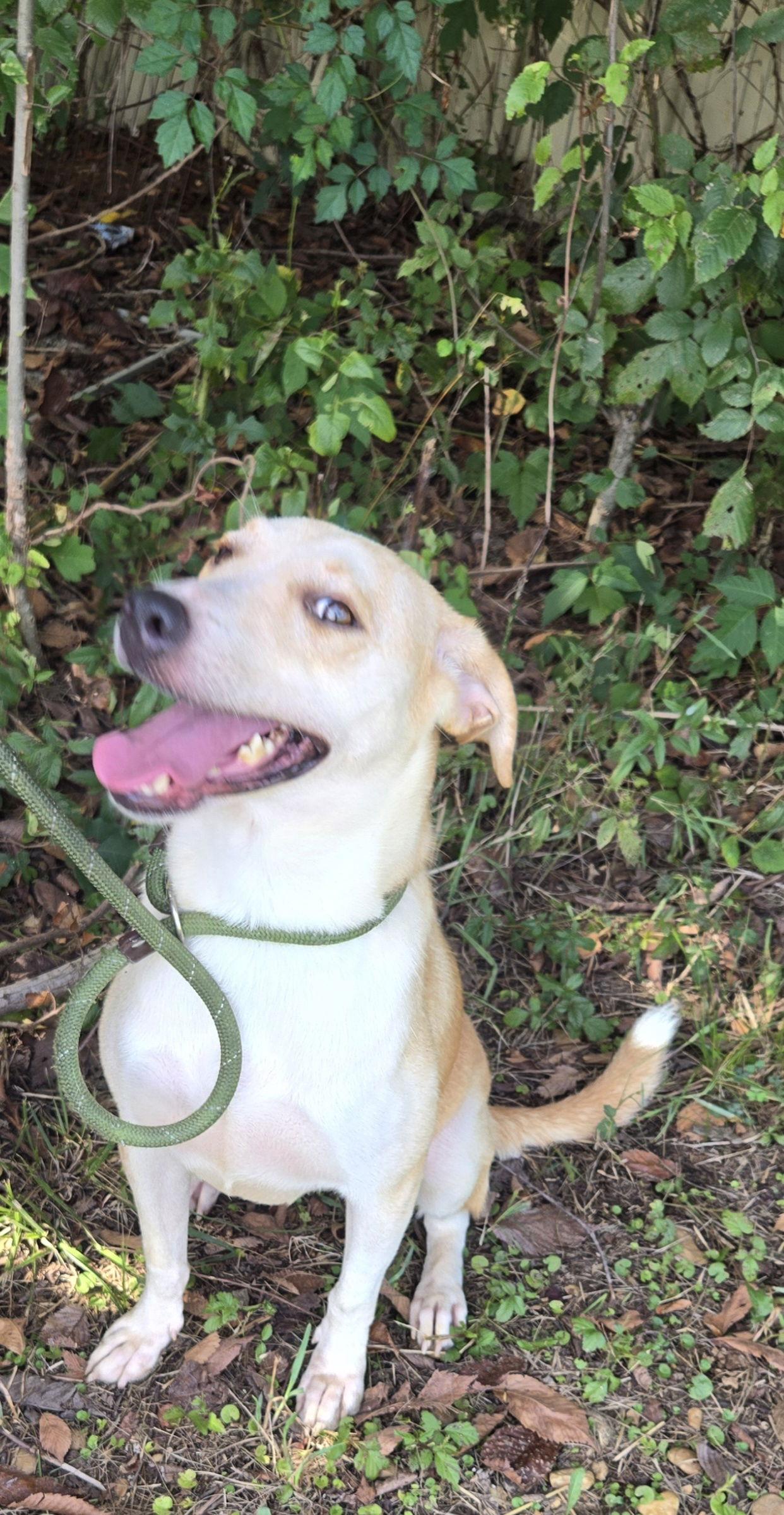 Kaitlyn — thumbnail 2