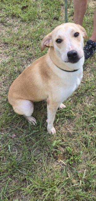 Kaitlyn — thumbnail 3