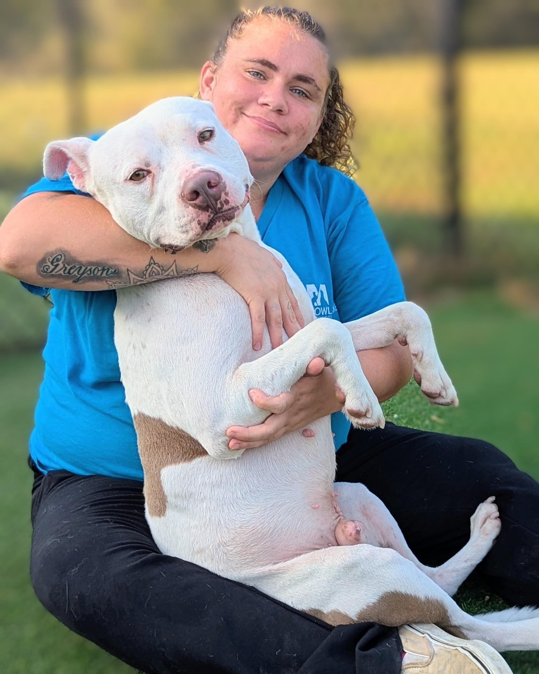 Enlarge BUNNY-I LOVE CARROTS, a Adoptable Pit Bull Terrier in San Diego, CA image 3/6