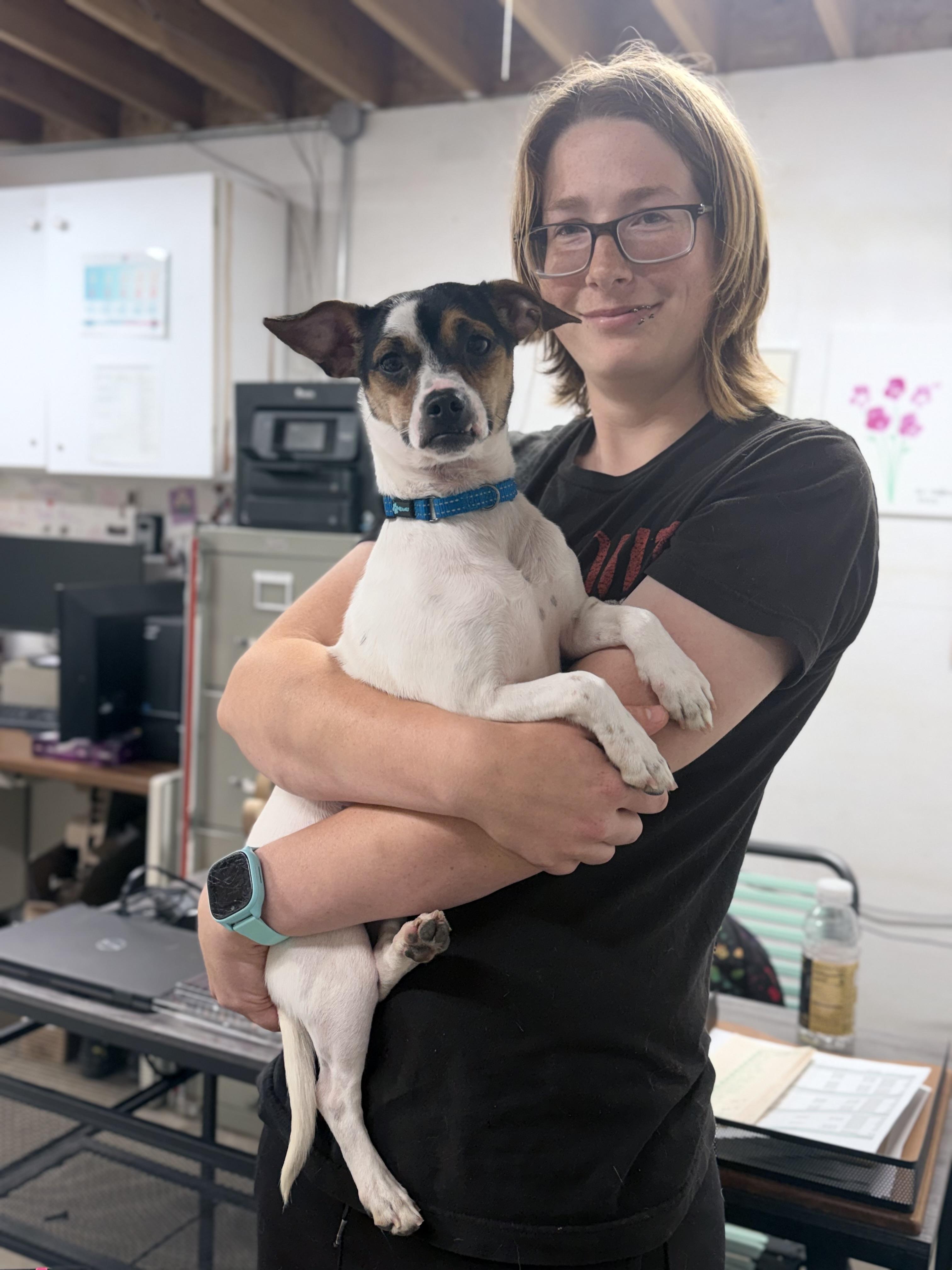 Shrimp, an adoptable mixed breed in Lake Odessa, MI image 5/6