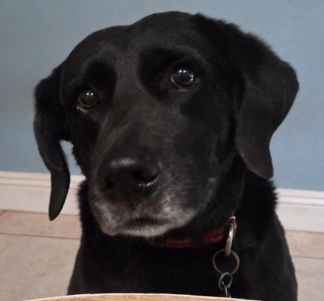 Juno #4 — thumbnail 2