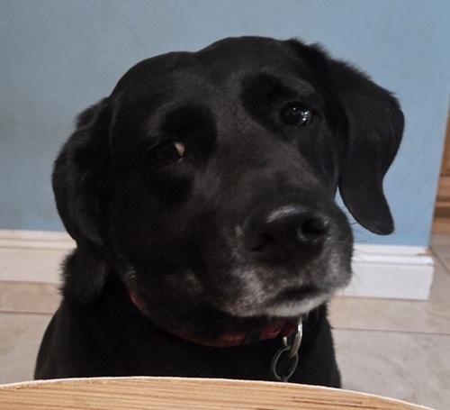 Juno #4 — thumbnail 3