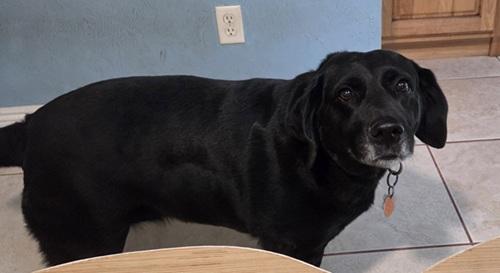 Juno #4 — thumbnail 4