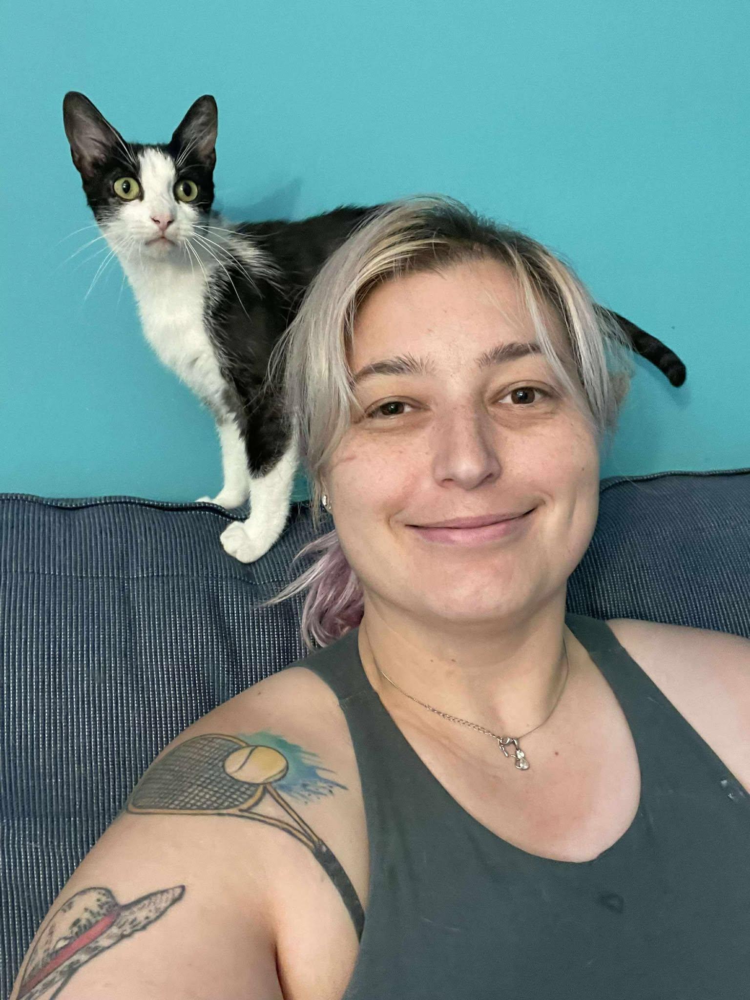 Orchid, a Adoptable Domestic Short Hair in Penfield, NY image 1/6