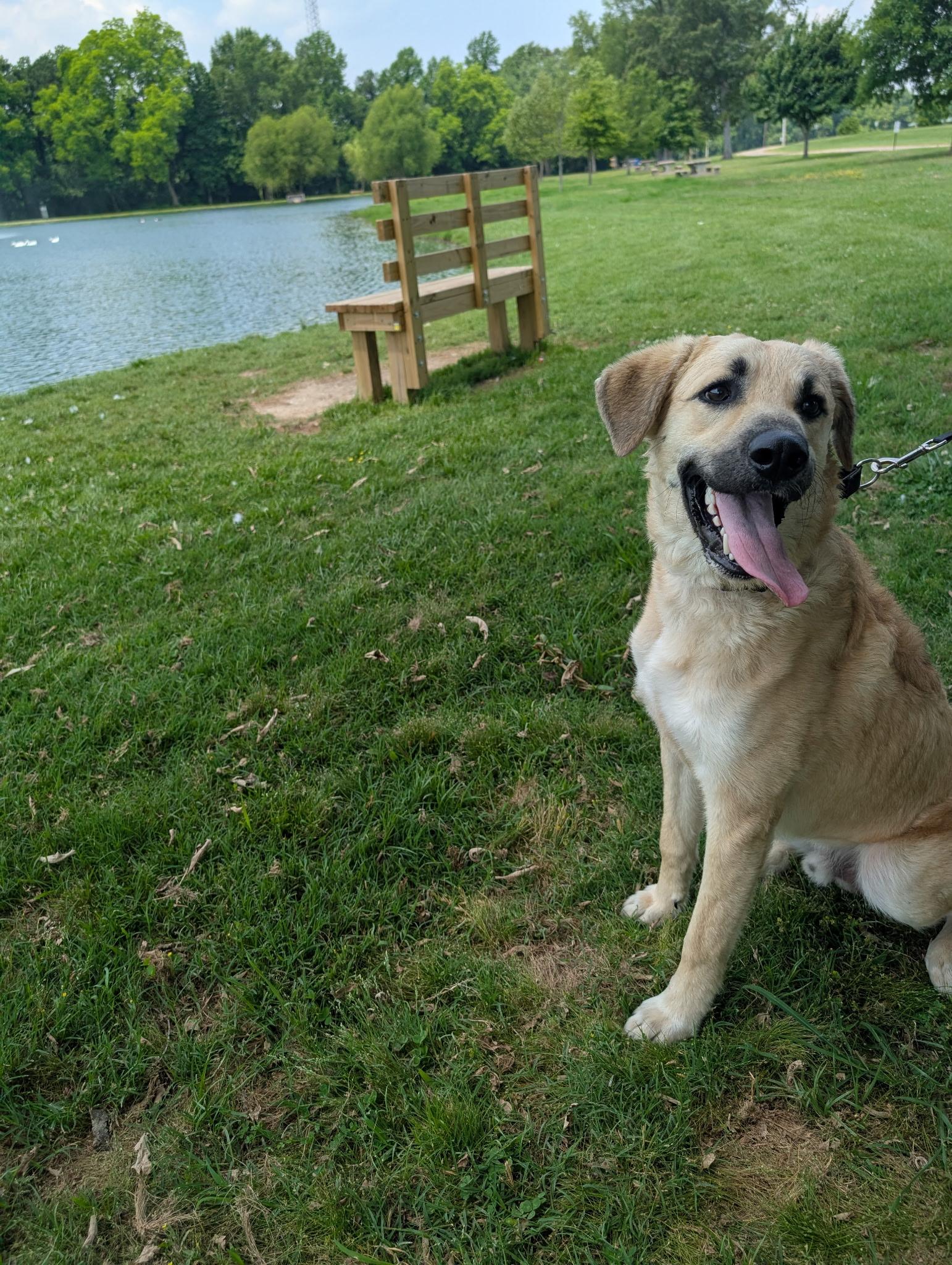 Zeus photo 2