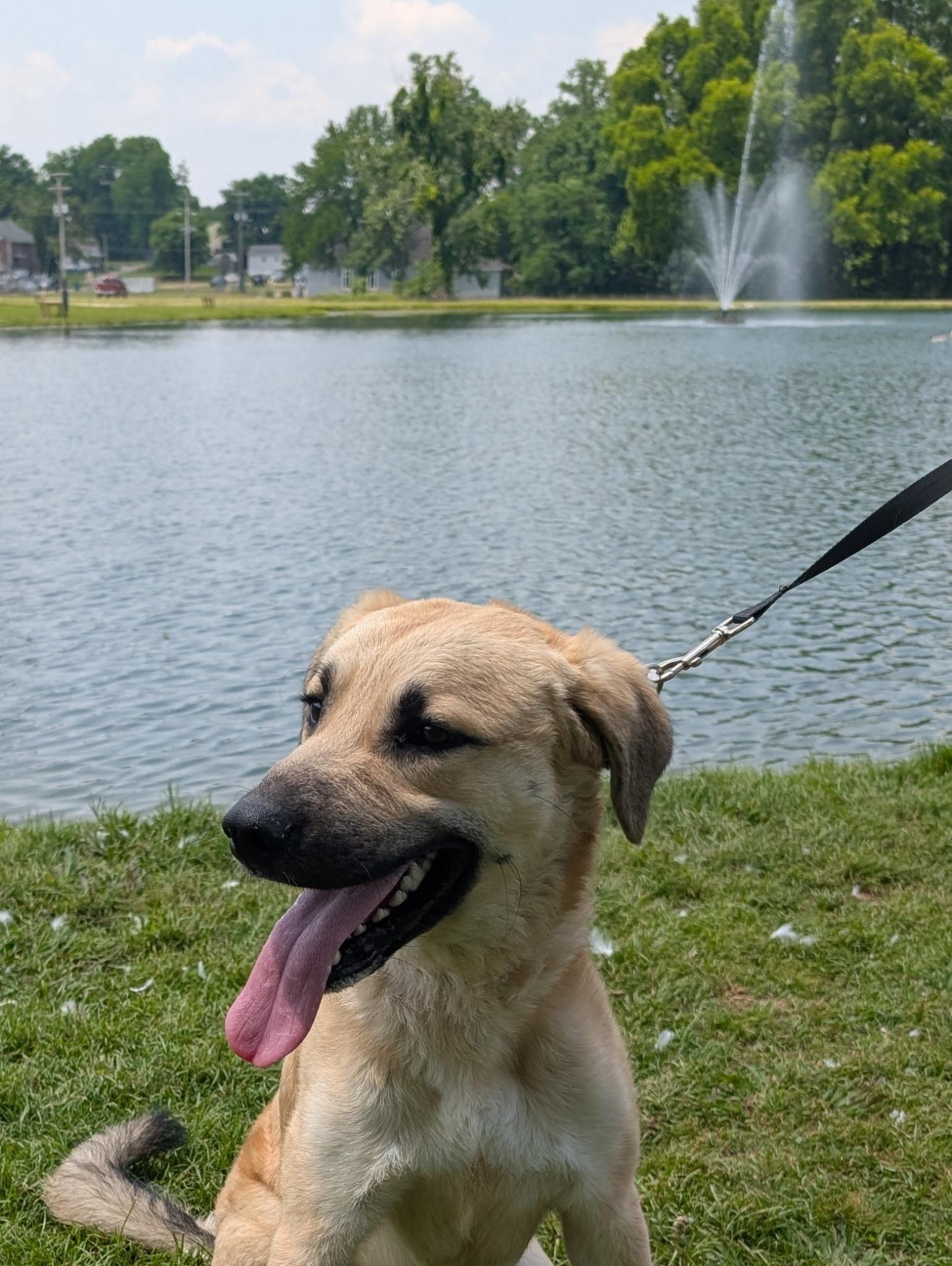 Zeus photo 3