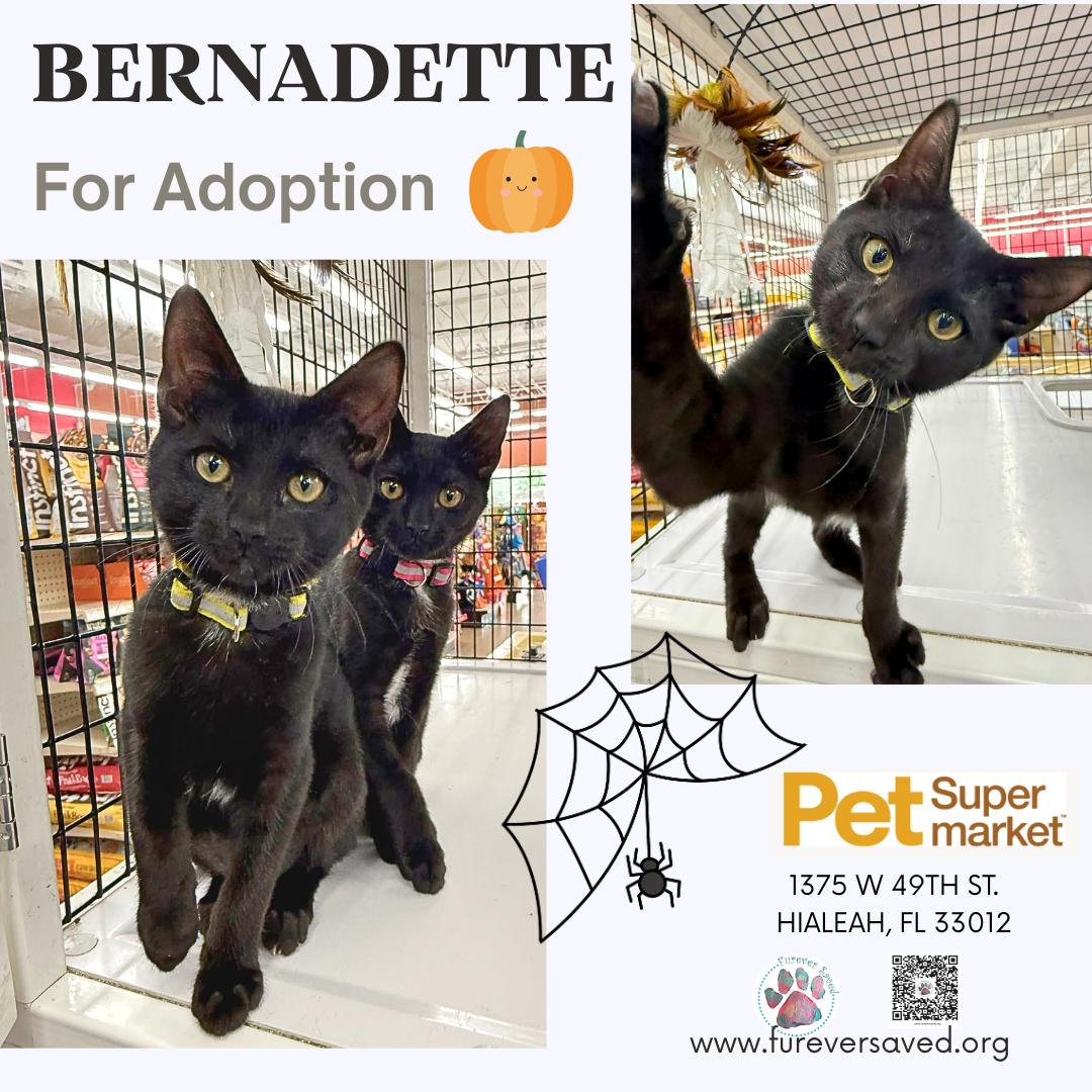 Bernadette photo