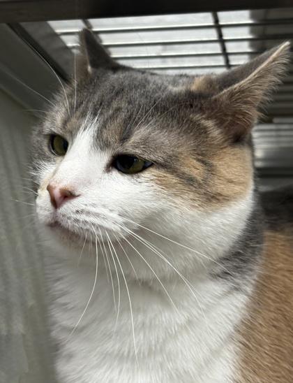 Matilda — thumbnail 3