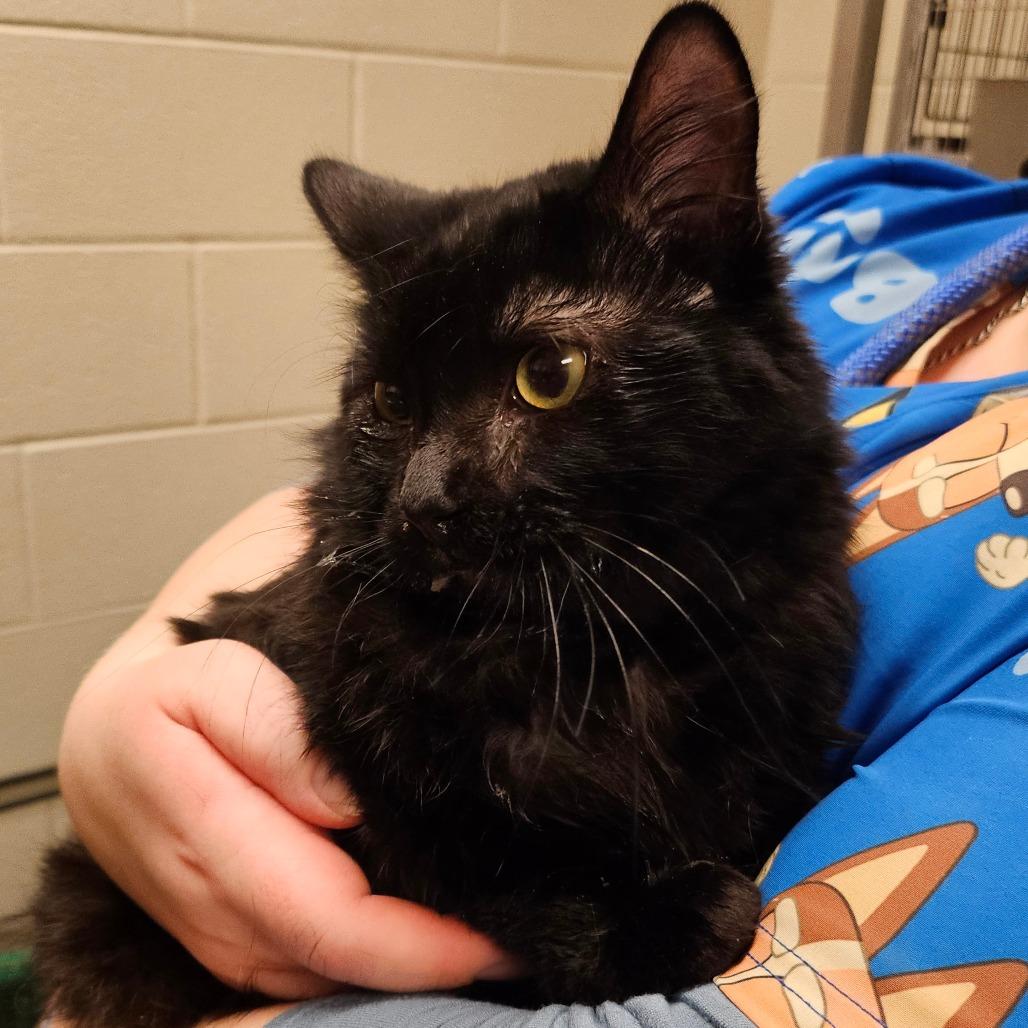 Salvador — thumbnail 2