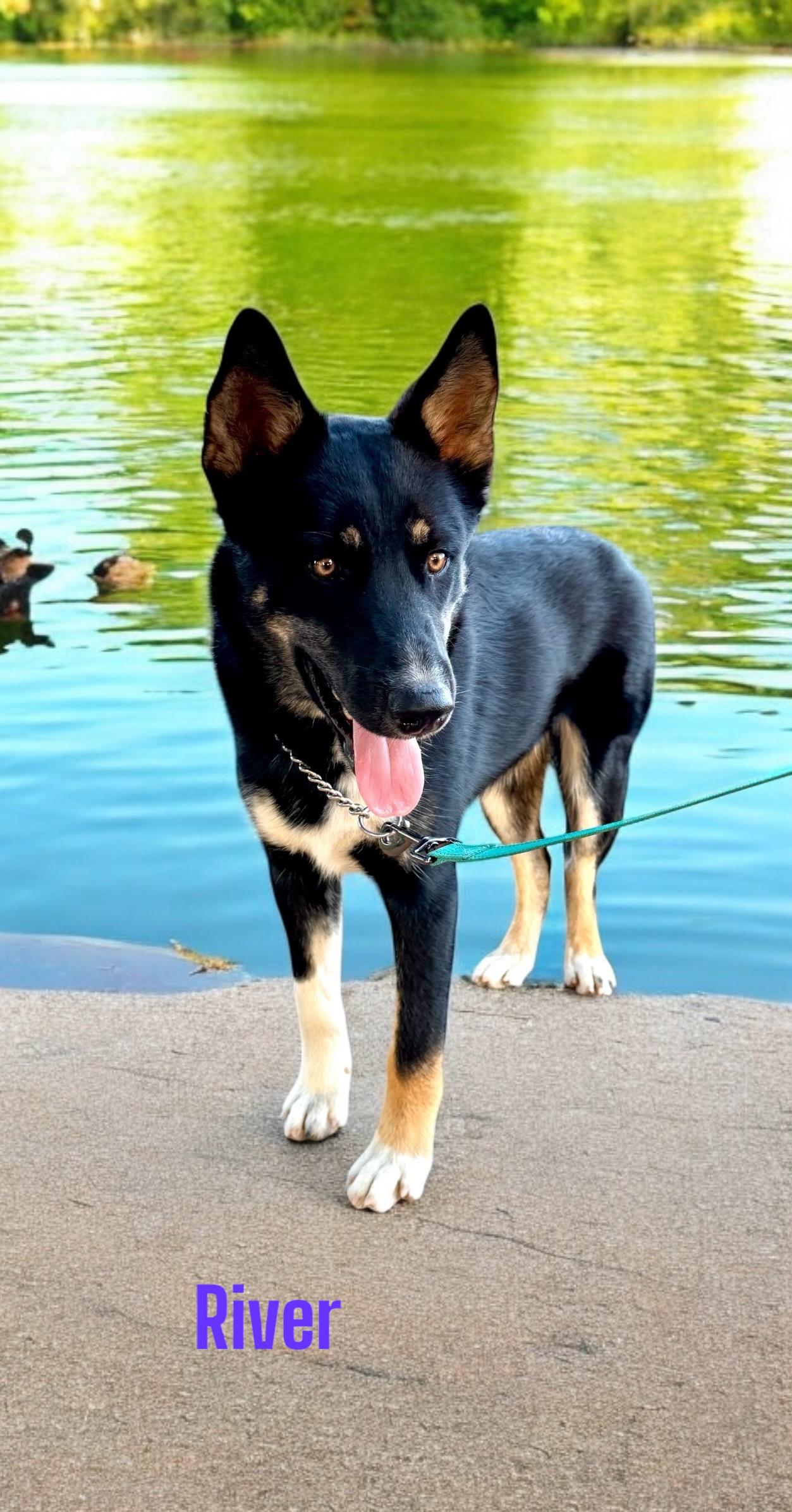 River
