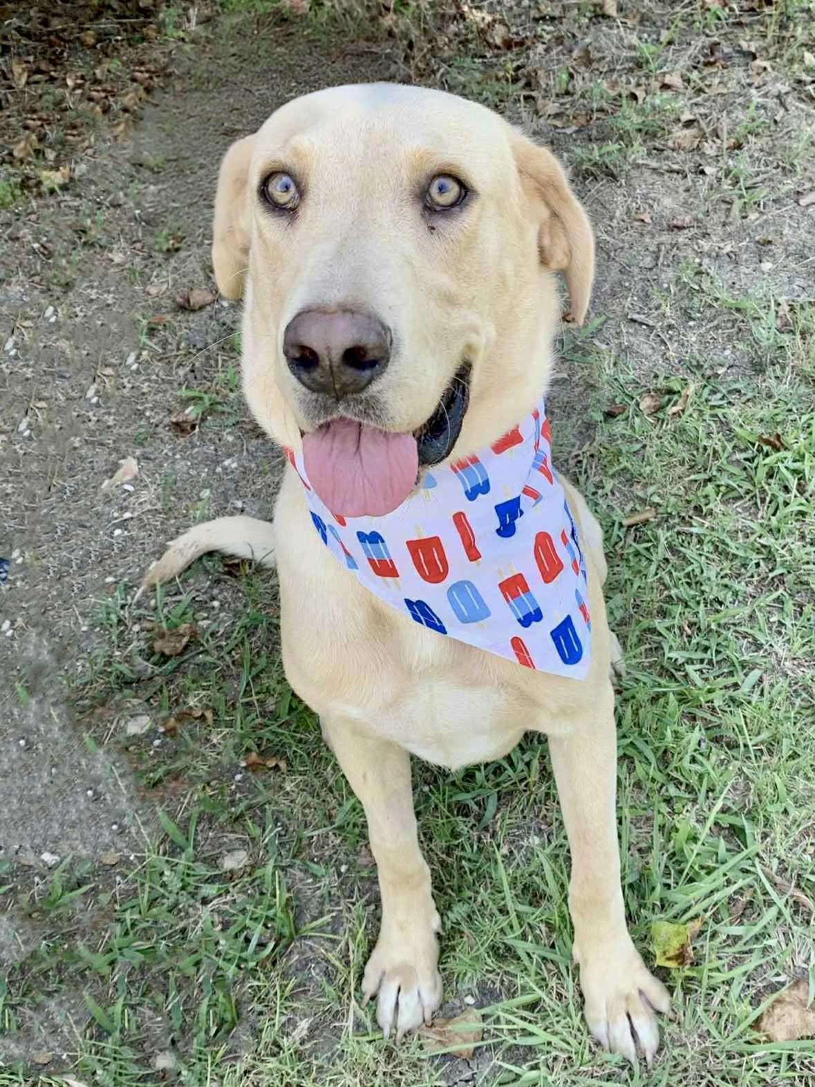 Goober