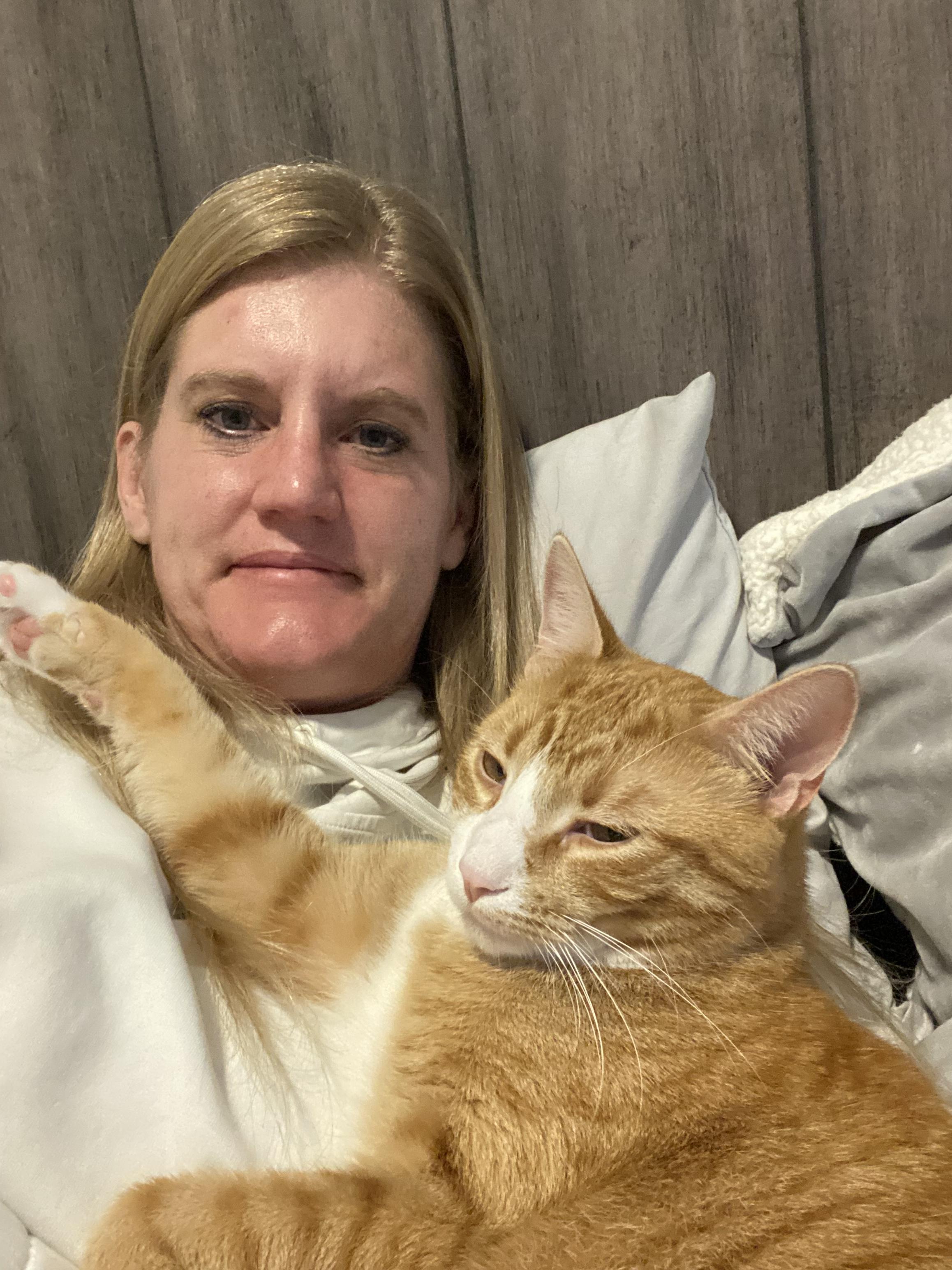 Enlarge Franklin, a Adoptable Domestic Short Hair in Saint Francis, MN image 4/6