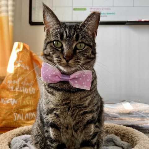 Ethel