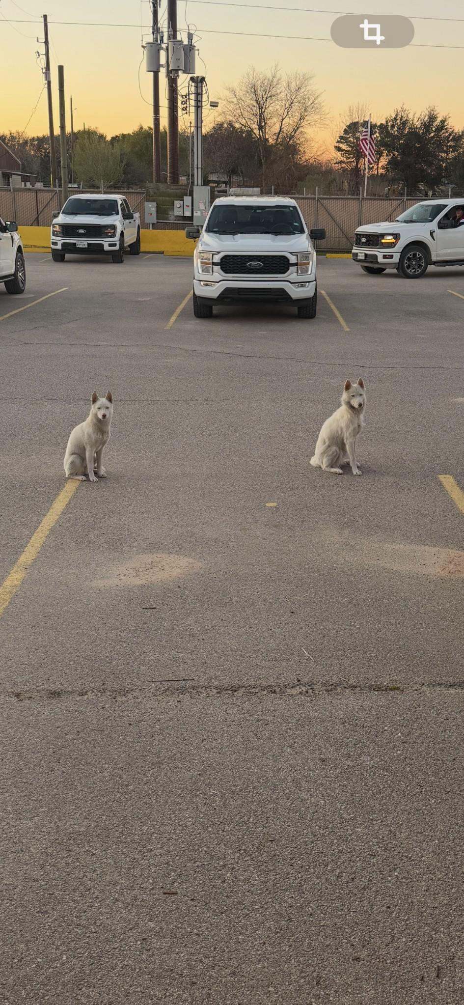 Sache — thumbnail 4