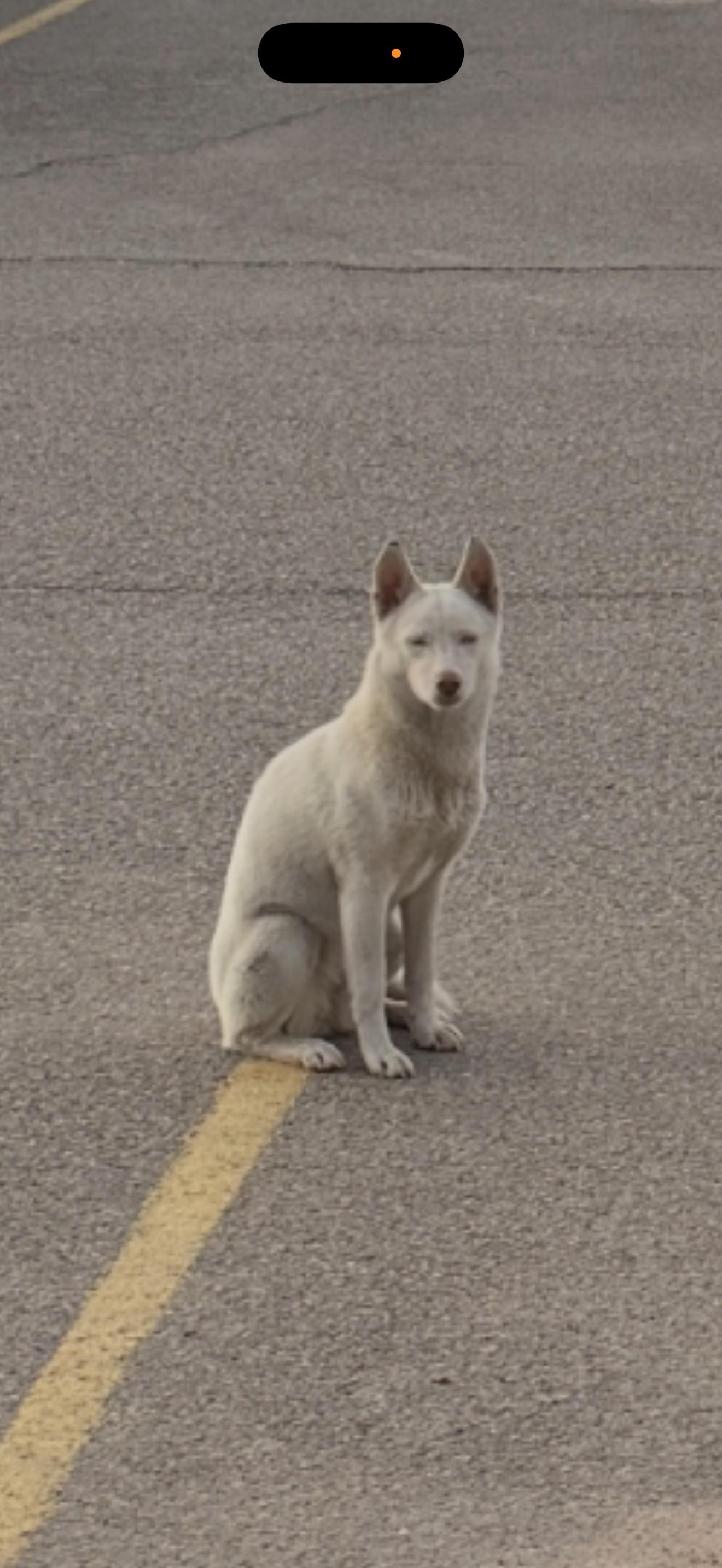 Sache — thumbnail 5