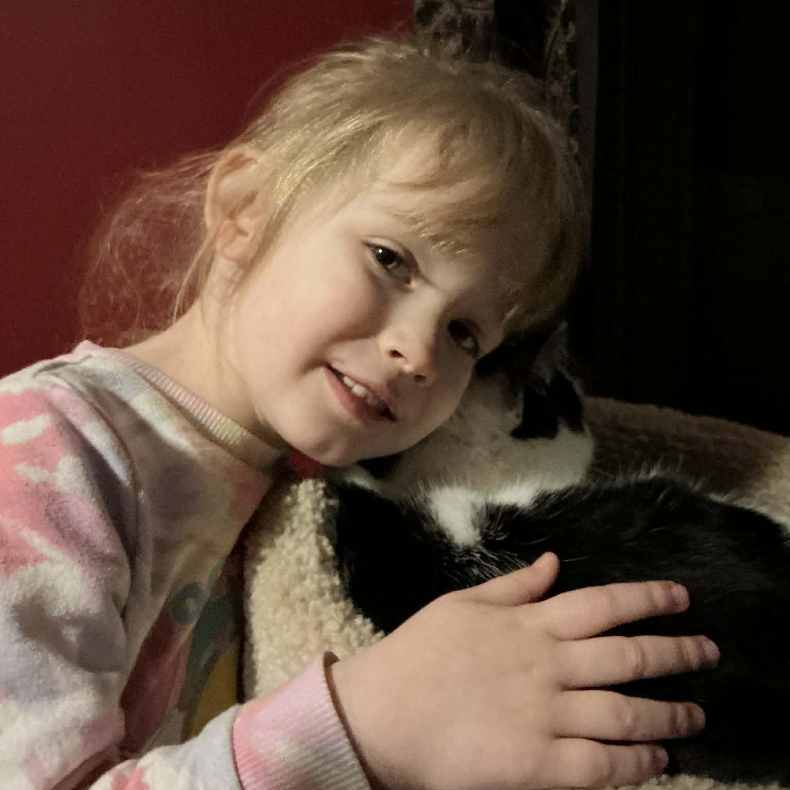 Enlarge George, an adoptable mixed breed in North Kingstown, RI image 3/6