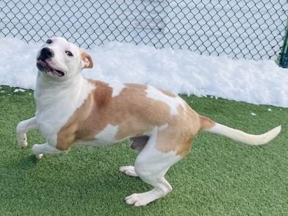 Peeta — thumbnail 2