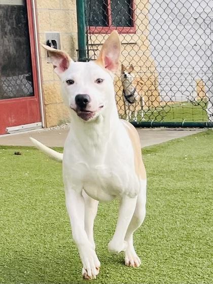 Peeta — thumbnail 3