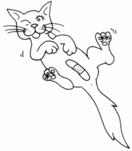 PREVENT A LITTER, a Adoptable mixed breed in Thorofare, NJ image 1/4