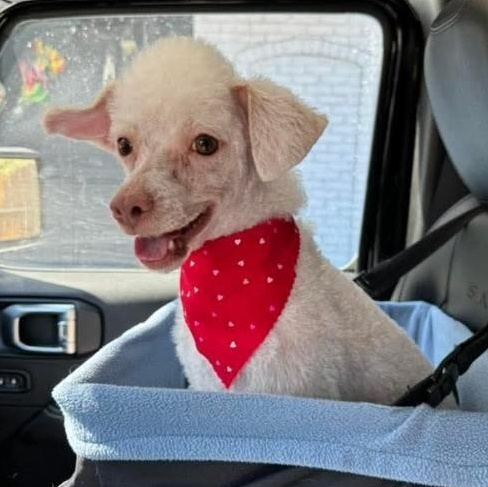 Charles Doowin — thumbnail 3