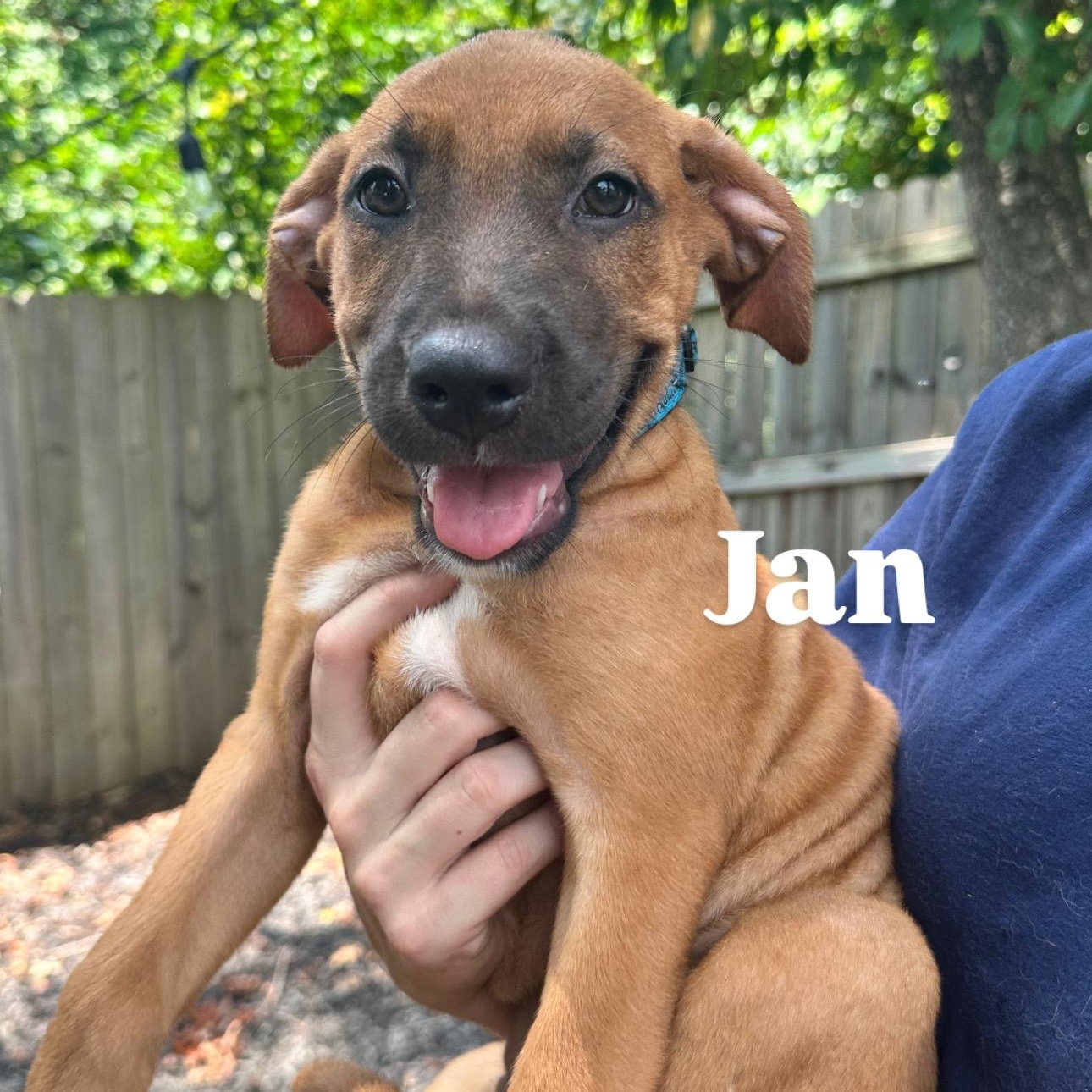 Jan, Baby Female unknown