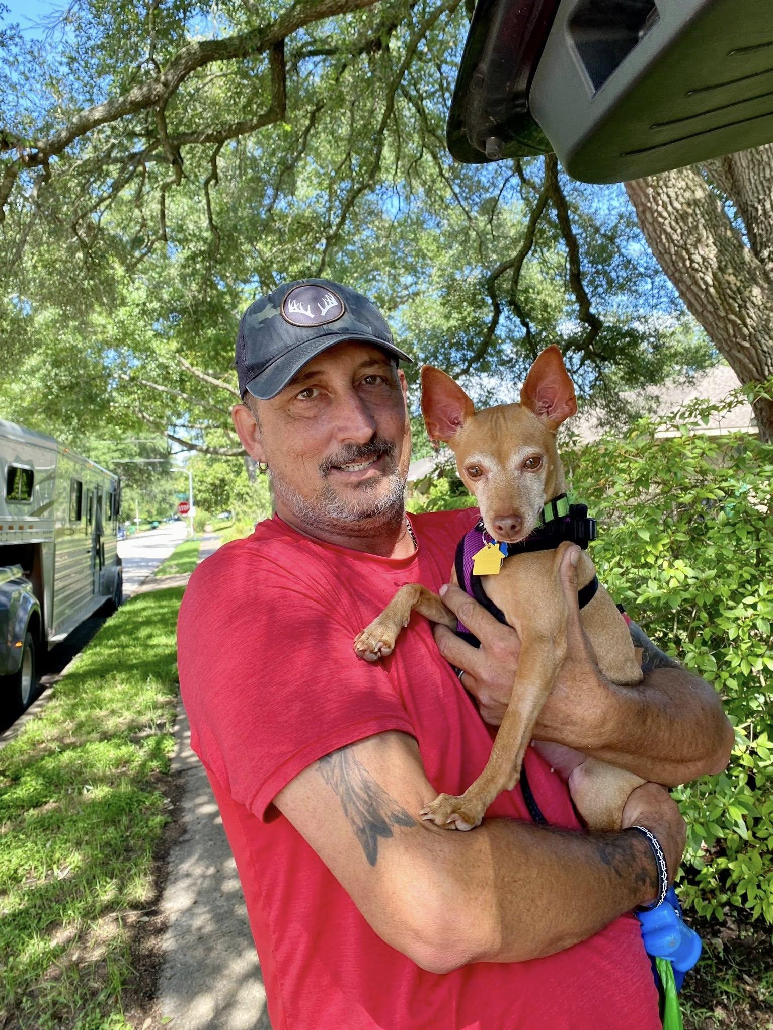 Enlarge Amber - ADOPTED, a ADOPTABLE Miniature Pinscher in Houston, TX image 6/6