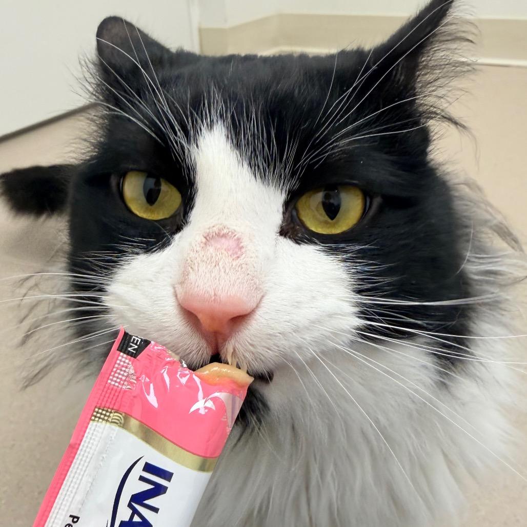 Jonesy — thumbnail 5