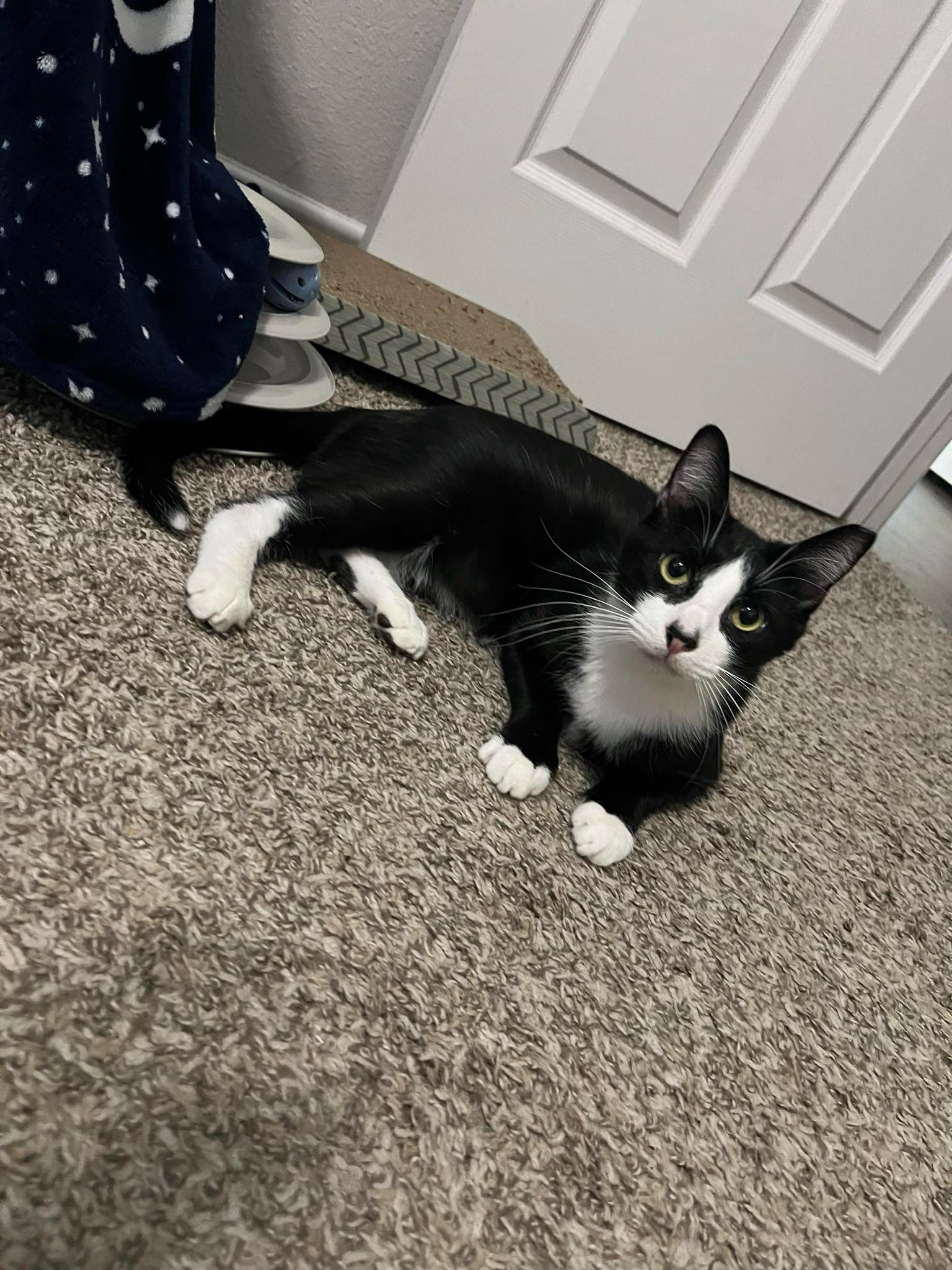 TUXY 5