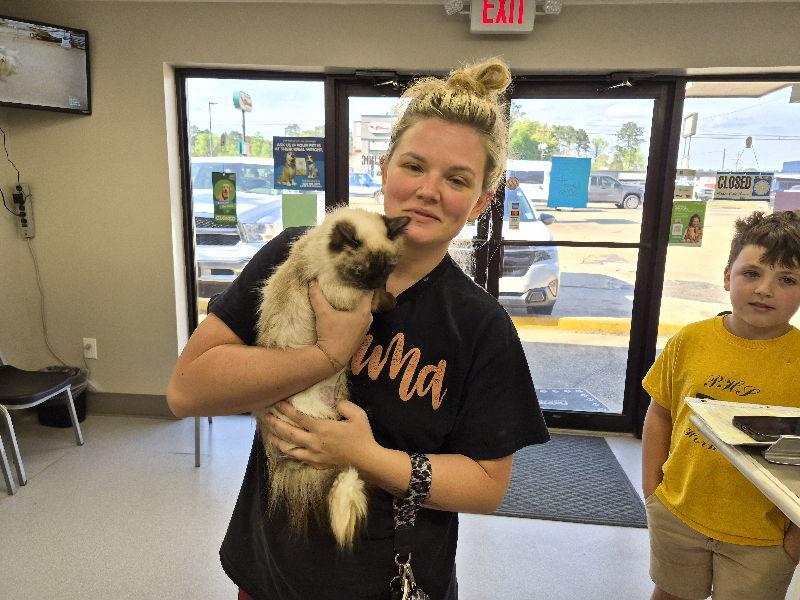 Enlarge Marney, a Adopted mixed breed in Pineville, LA image 2/2