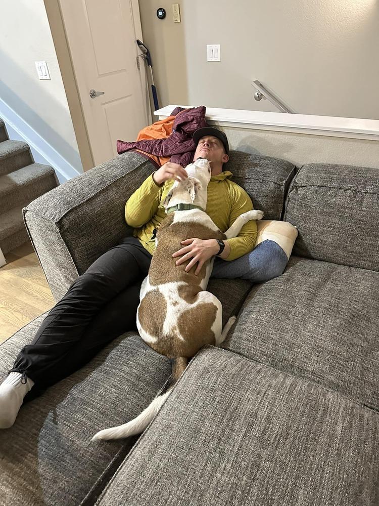 Enlarge Hercules, a Adoptable mixed breed in Littleton, CO image 5/6