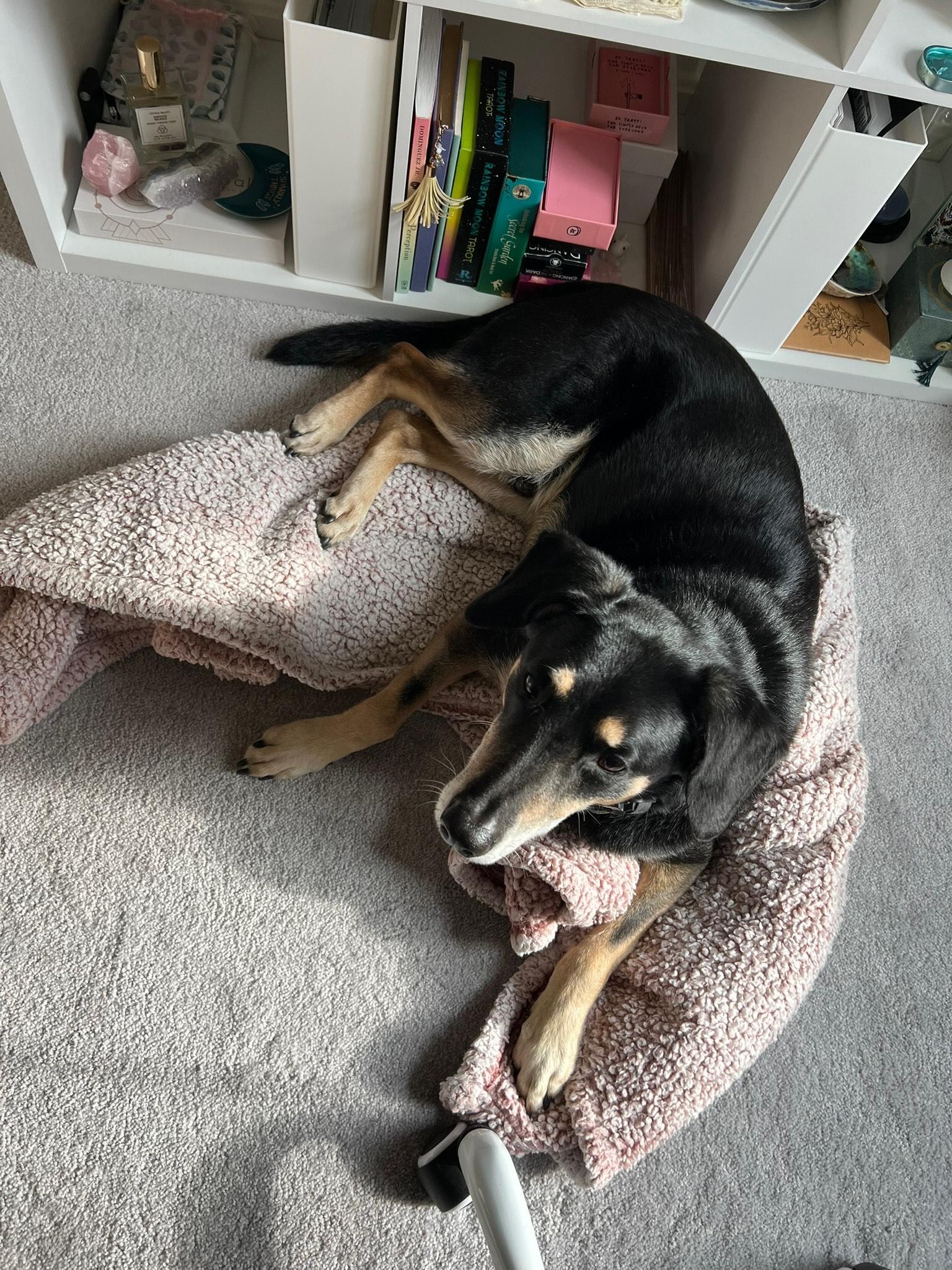Tucker